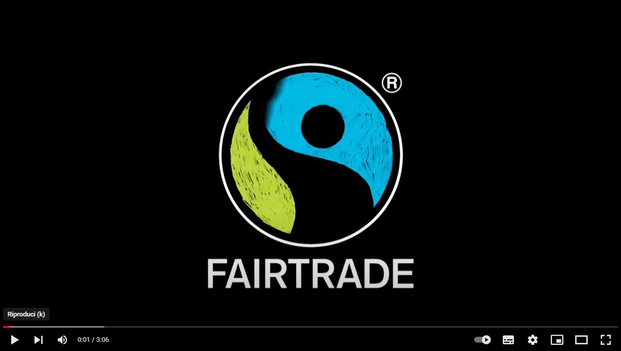 Fairtrade International (2020) How Fairtrade is tackling the climate crisis