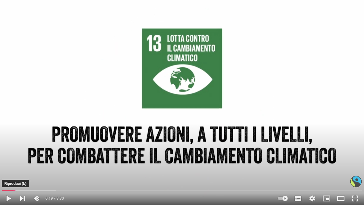 Faitrade (2021) Entro il 2050 metà della terra coltivata o coltivabile a caffè andrà persa