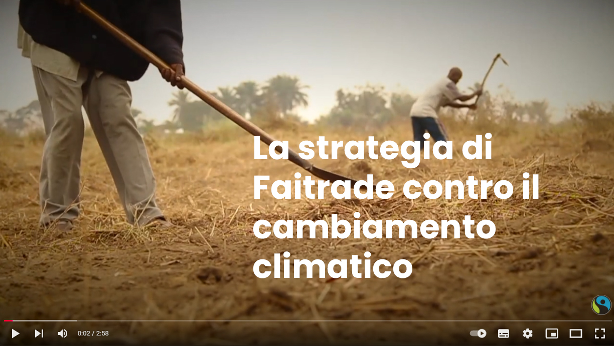 Faitrade (2017) La strategia di Fairtrade contro il cambiamento climatico